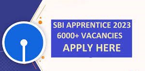 SBI Apprentice 2023