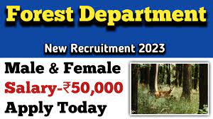 Forest Jobs 2023