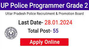 UP Police Programmer Grade 2 Notification 2024