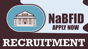 NaBFID Recruitment 2024