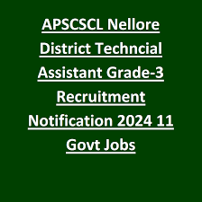 APSCSCL, Nellore Technical Asst, DEO & Other Recruitment 2024