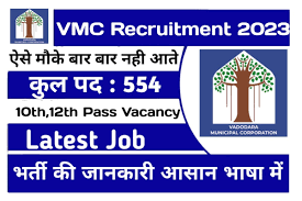 Vadodara Municipal Corporation Field Worker Result 2023