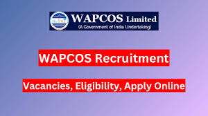 WAPCOS Recruitment 2024