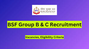 BSF Group B & C Recruitment 2024