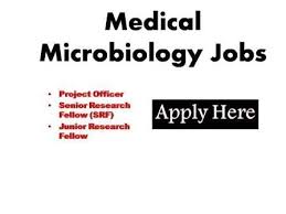 Division of Microbiology and Pathology Jobs 2024