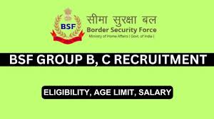 BSF Group B & C Recruitment 2024