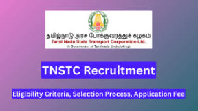 TNSTC Recruitment 2024