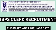 IBPS Clerk Jobs 2024