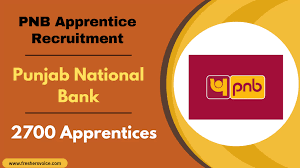 PNB Apprentice Recruitment 2024