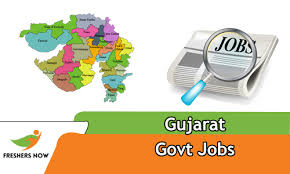 Government Jobs for Graduates 2024