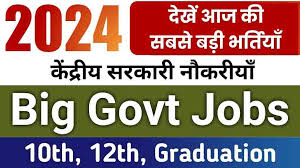 Government Jobs for Graduates 2024