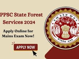 MPPSC State Forest Services Marks 2024