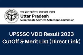 UPSSSC VPO, VDO & Social Welfare Supervisor Result 2024