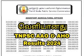 TNPSC AAO & AHO Result 2024