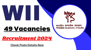 WII Recruitment 2024