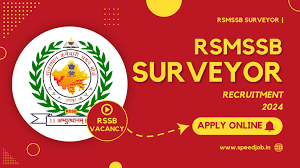 RSMSSB Surveyor & Mining Executive Officer Recruitment 2024
