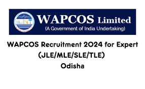 WAPCOS Ltd Experts Recruitment 2025