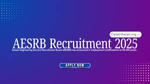 AESRB Senior Instructor Recruitment 2024