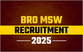 BRO MSW Recruitment 2025