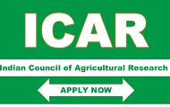 ICAR CIAE SRF, Young Professional I/ II Recruitment 2025