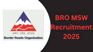 BRO MSW Recruitment 2025