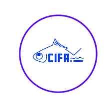 CIFA Recruitment 2025