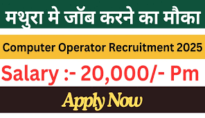 Computer and DEO Jobs 2025