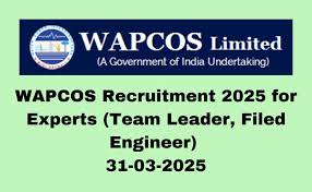 WAPCOS Limited Recruitment 2025