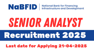 NaBFID Senior Analyst Recruitment 2025