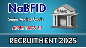 NaBFID Senior Analyst Recruitment 2025