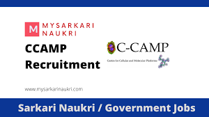 CCAMP Recruitment 2025