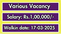 MBBS Jobs 2025