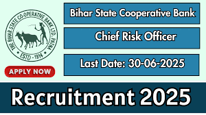 BSCB Chief Risk Officer Recruitment 2025